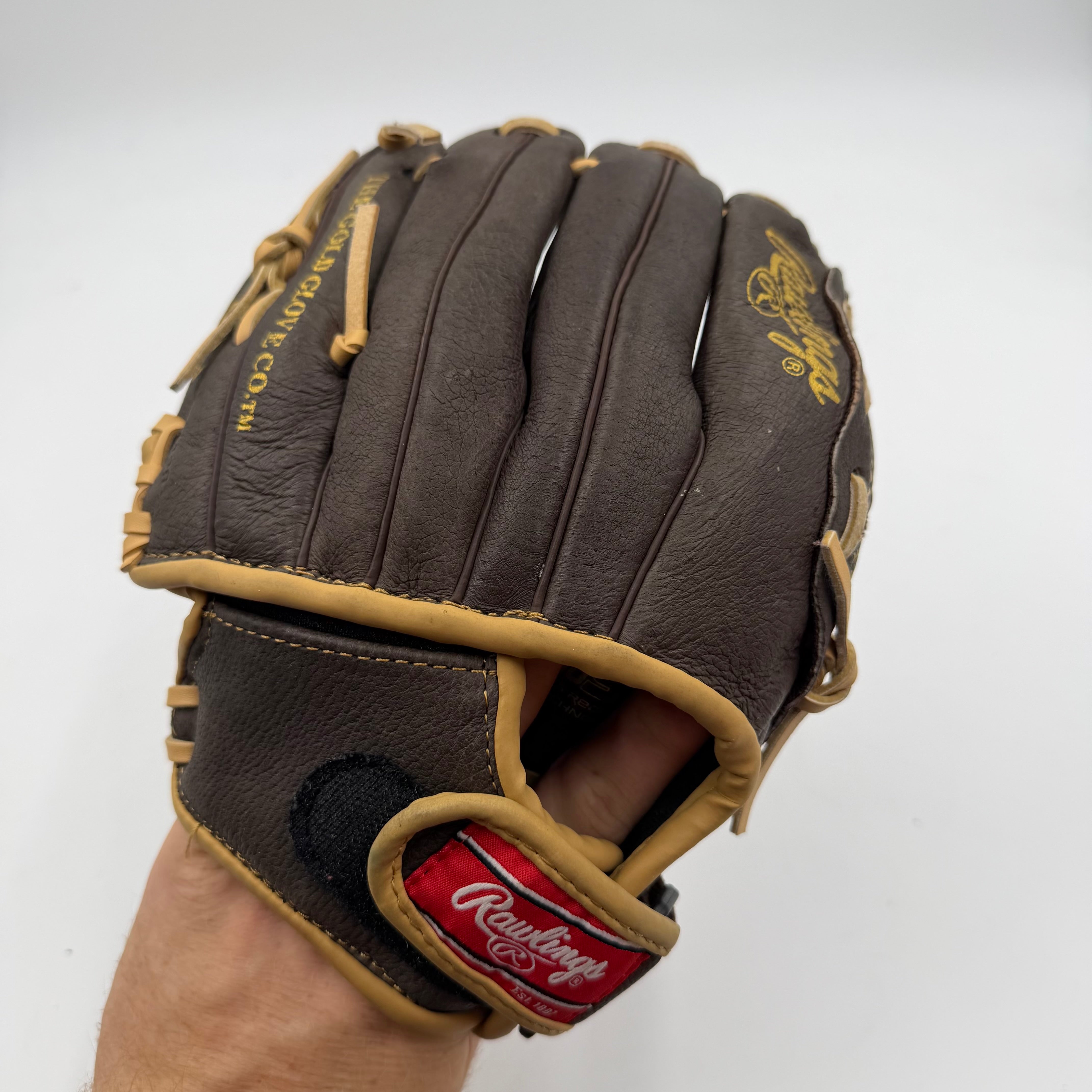 Rawlings highlight series 10” infield Baseball Glove